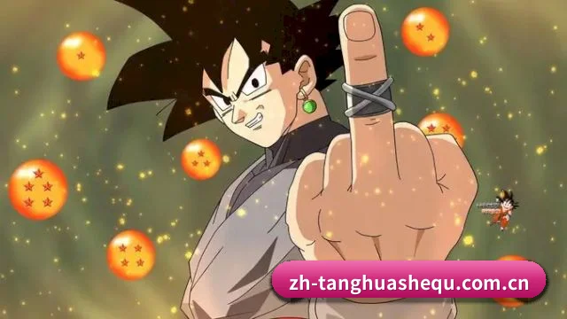 探花社区 APP 深度功能